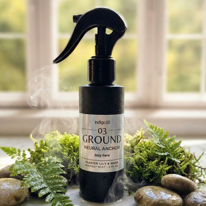 The Neural Anchor System